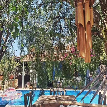 Mujiza *